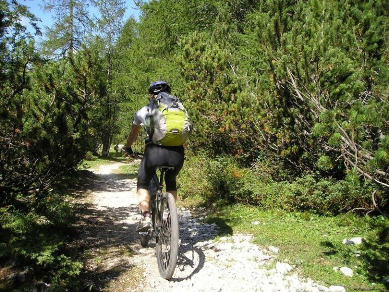 mountain bike